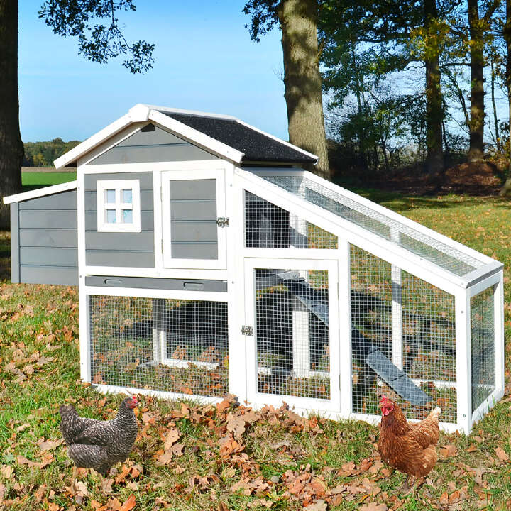 zooprinz Hühnerstall Dottie L